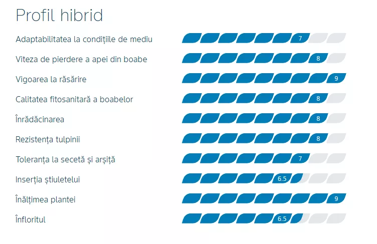 profil dkc4031
